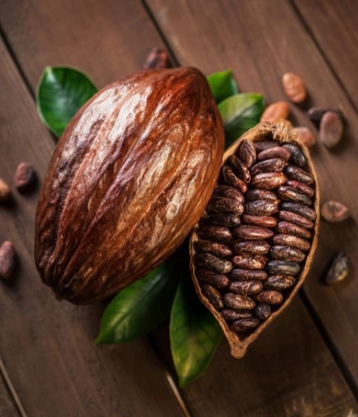 Suministros y Servicios Ercar CA - Coffee and Cacao Exporter